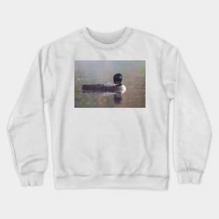 Common Loon - Wilson Lake Crewneck Sweatshirt